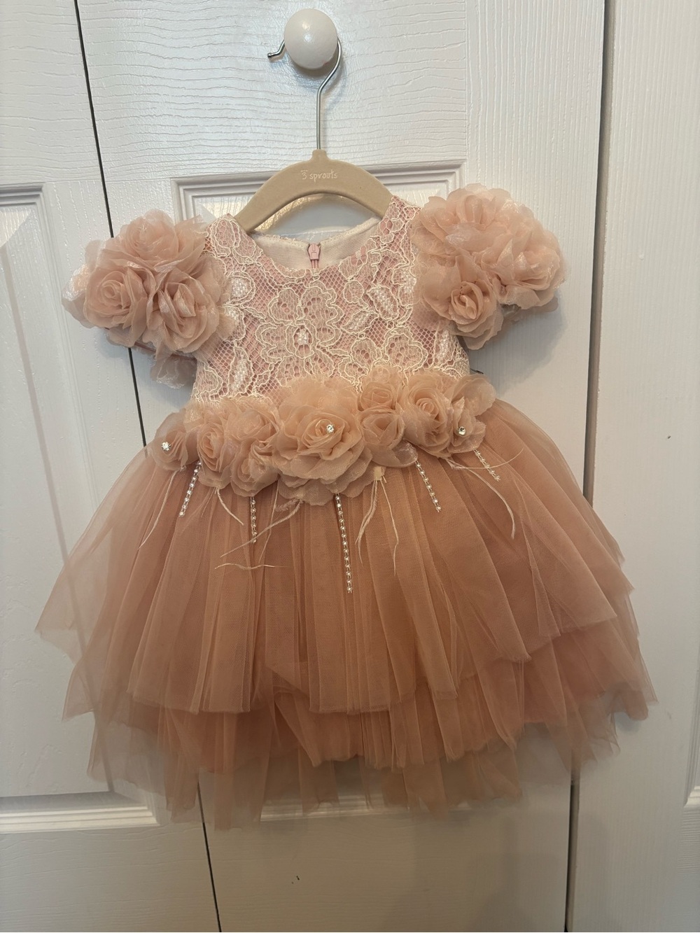 Liv Olivia Peach/Pink Floral Lace Tulle Dress with Headband